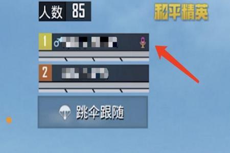 和平精英和pubg哪个外挂少（和平精英和pubg选哪个）